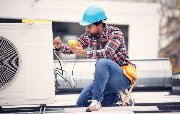 Best Local Electrician Companies  in Edgewater, MD